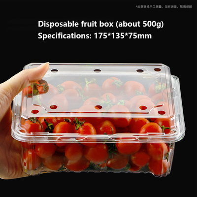 Customizable Disposable bowl with different material options suitable for various fruits and vegetables