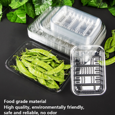 Functional design options for Disposable bowl with flat or grid bottom for easy handling and storage