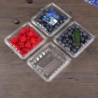 Blueberry box Disposable bowl designed for supermarket/fruit store packaging with transparent PET material
