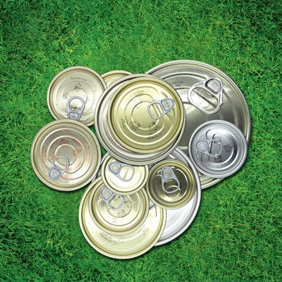 Affordable Tinplate Can Lids with Aluminum Paste Coating for Versatile