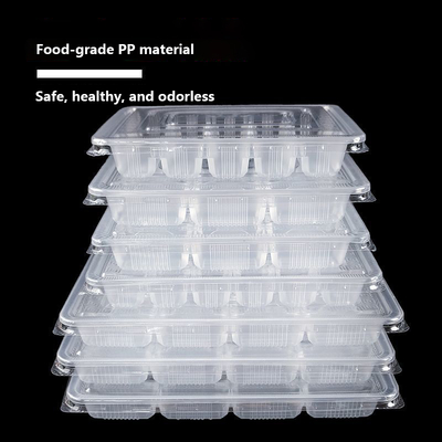 Transparent Dumpling Box Disposable Bowl with Pillar Design and Eco-friendly PP Material for Storing and Dividing Dumplings