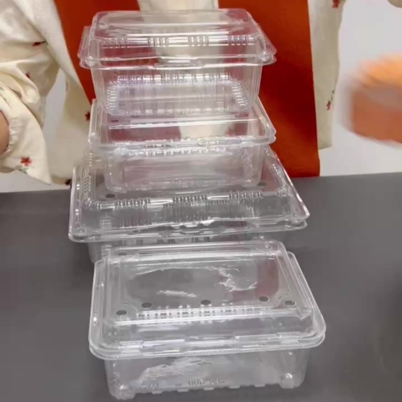Customizable Disposable bowl with different material options suitable for various fruits and vegetables