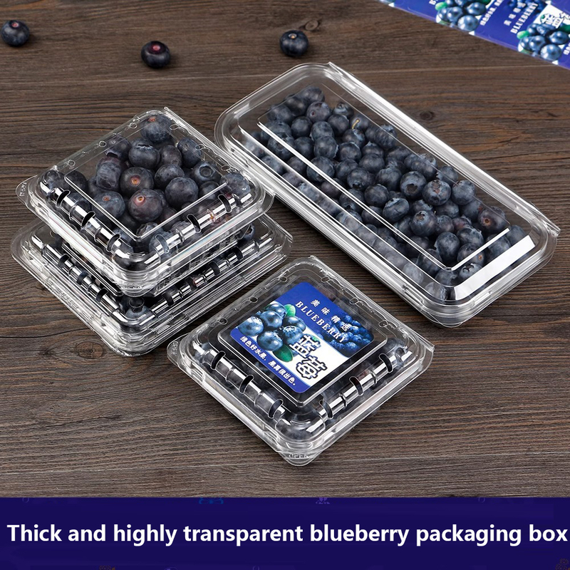 Blueberry box Disposable bowl designed for supermarket/fruit store packaging with transparent PET material