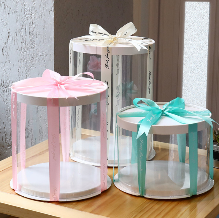 10 Inch Eco Friendly Plastic Packaging Round Transparent Food Grade PET Cake Boxes